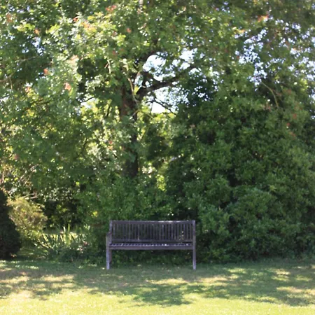 Le Printemps, Maison 15 Pers Avec Piscine