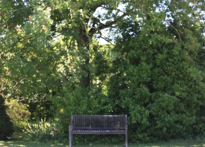 Le Printemps, Maison 15 Pers Avec Piscine