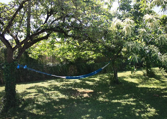 Casa de Férias Le Printemps, Maison 15 Pers Avec Piscine